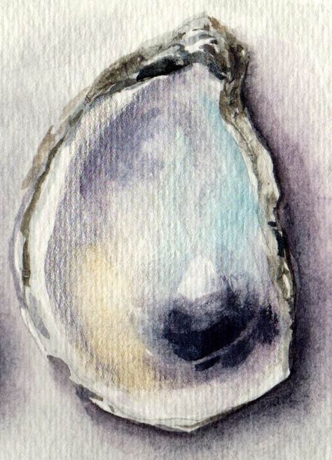 Watercolour Oyster Shell, Oyster Shell Watercolor Painting, Watercolor Oyster Shells, Oyster Watercolor Tutorial, Watercolor Oyster Painting, Oyster Watercolor Paintings, Watercolour Oyster, Coastal Watercolor Paintings, Oyster Artwork