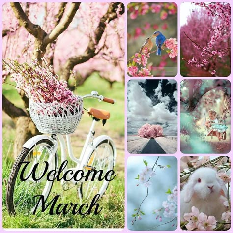 Untitled Welcome March Images, March Collage, March Images, Happy Birthday Month, Welcome March, Neuer Monat, Birthday Month Flowers, Bullet Journal Calendar, Its My Birthday Month