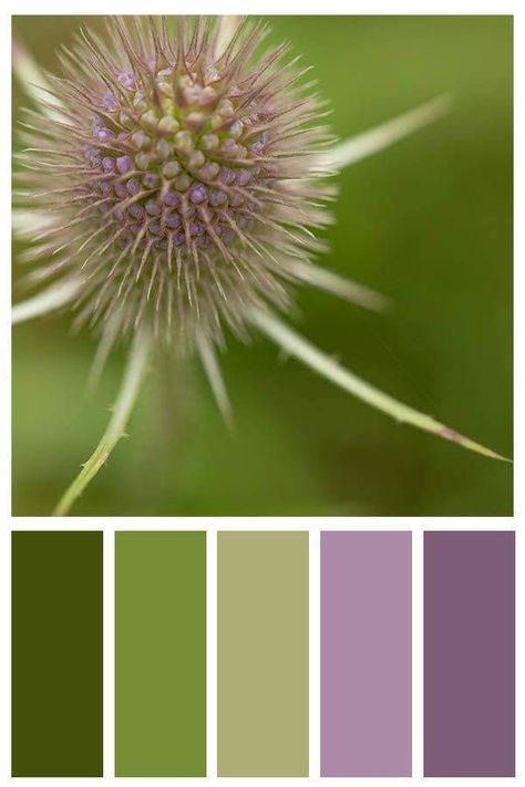 Thistle Color, Craftsman Style Decor, Star Magnolia, Photo Note Cards, Living Colors, Paint Color Palettes, Lotus Flowers, A2 Size, Color Crush