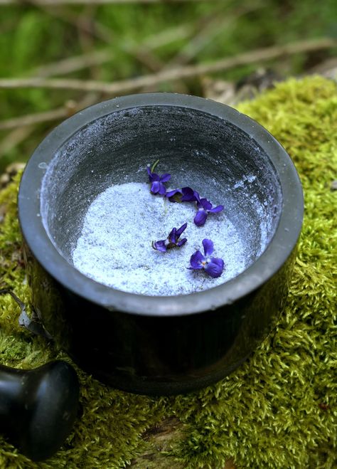 Violet Flowers Sugar by Piotr Ciemny | CREME: Step-by-Step Video Recipes Flowers To Make, Violet Flowers, Video Recipes, Violet Flower, Edible Flowers, Be Prepared, Wild Roses, I Will Show You, The Flowers