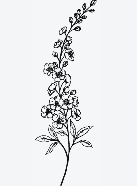 Delphinium Flower Illustration, Delphinium Illustration, Larkspur Delphinium Tattoo, Flowers With Stems Tattoo, Larkspur Line Drawing, Delphinium Tattoo Design, Fireweed Flower Tattoo, Delphinium Flower Drawing, Larkspur Fine Line Tattoo