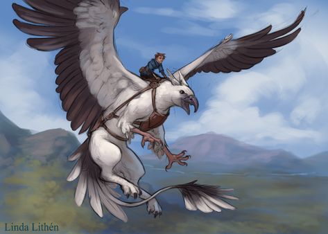 Gryphon Rider, Creature Drawings, Fantasy Creatures Art, Mythical Creatures Art, Mythological Creatures, Creature Concept Art, Animal Sketches, Fantasy Warrior, 판타지 아트