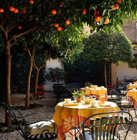 We discovered a haven in Rome. Would you like to share in the secret? Click link...now! Rome Budget, Travelling Inspiration, Beautiful Restaurants, Europe Italy, Orange Trees, Italy Rome, Italy Aesthetic, Orange Tree, Italian Summer