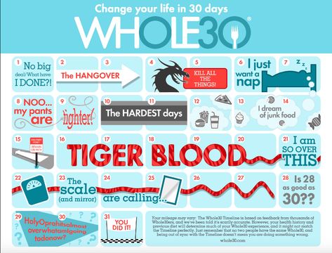 Printable Whole30 calendar--post it somewhere you’ll see it every day, and cross out days with a BIG RED X as you finish them. Trust us, it feels really good, and it is an easy way to keep yourself accountable. Just think about how satisfying it will feel to wake up on Day 31 and look at all of those red X’s. Whole30 Timeline, Tiger Blood, Paleo Workout, Whole 30 Challenge, 30 Diet, Whole 30 Meal Plan, Whole 30 Diet, Paleo Lifestyle, Elimination Diet