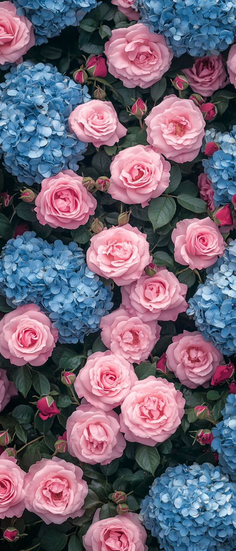 Pink Muse (@thepinkmuse) on X Blue Hydrangea Wallpaper, Hd Ipad Wallpapers, Hydrangea Wallpaper, Blue Flower Wallpaper, Vintage Flowers Wallpaper, Original Iphone Wallpaper, Flowers Photography Wallpaper, Pretty Phone Wallpaper, Cute Tumblr Wallpaper