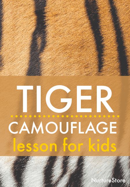 Tiger camouflage lesson and activities for children - NurtureStore Animal Learning Activities For Kids, Tiger Rising Activities, Tiger Stem Activities, When You Trap A Tiger Activities, Animal Camouflage Activities For Kids, Tiger Activities, Tiger Learning Activities, Camouflage Activities, The Tiger Who Came To Tea Activities