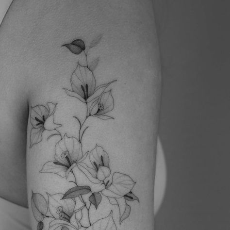 Nadia Andriu on Instagram: "Bougainvillea for Lydia🤍" Bougainvillea Drawing Black And White, Bougainvillea Flower Tattoo, Mexican Flowers Tattoo, Bougainvillea Tattoo, Portuguese Tattoo, Orchid Tattoo, Plant Tattoo, Tattoo Design Book, Santa Rita