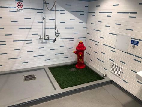 #dog #boxer Atlanta Airport Officials Explain $3.9 Million Price Tag For Dog Bathrooms #Discussions #News #frenchie #totebag Pet Bathroom, Dog Toilet Indoor, Indoor Dog Bathroom, Dogs Bathroom, Dog Toilet Balcony, Dog Hostel Ideas, Apartment Balcony Dog Potty, Balcony Pet Potty, Indoor Dog Potty