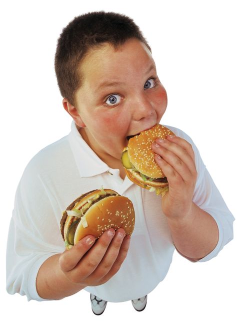 Top 10 Worst Foods for Kids to Eat | Livestrong.com Bad Food, Cake Images, Chicken Burgers, Hot Dog Buns, Food Photo, Eat Cake, Kids Meals, Chocolate Cake, Nutrition