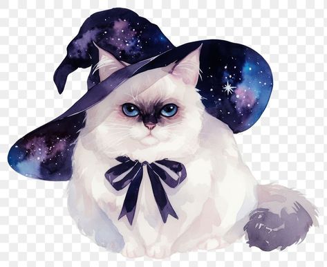 Halloween Backgrounds Aesthetic, Galaxy Witch, Coquette Halloween, Galaxy Cat, Magic Cat, Backgrounds Aesthetic, About Halloween, White Magic, Aesthetic Coquette