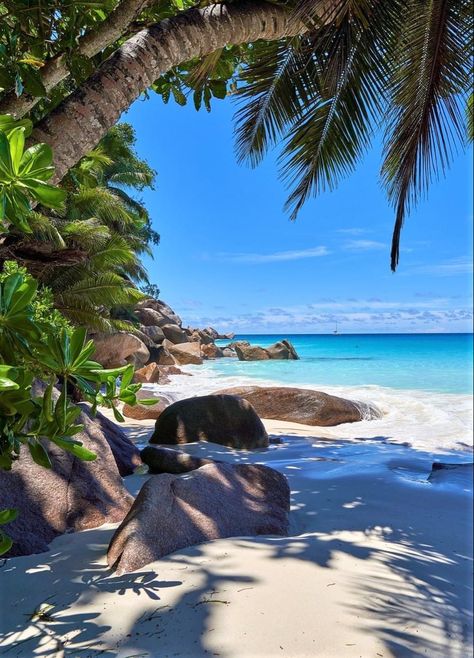 Praslin Seychelles, Anchor Symbol, Seychelles Islands, Background Photos, Romantic Destinations, Beach Wallpaper, Ocean Water, Beautiful Locations Nature, Porto Portugal