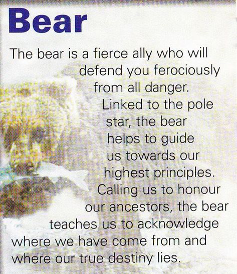 Your Animal Spirit Guide for Monday, September 24th Bear Quotes Spirit, Bear Spiritual Meaning, Beaver Spirit Animal, Bear Symbolism, Spirit Animal Bear, Bear Totem Spirit Animal, Bear Spirit Animal, Animal Totem Spirit Guides, Bear Spirit