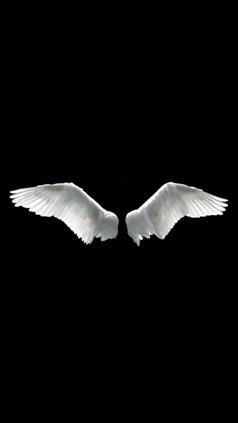 Angel Wings Black Background, Wing Wallpaper, Angel Back Tattoo, Iphone Wallpaper Blur, Wings Wallpaper, Clothing Labels Design, Black Angel Wings, Black And White Art Drawing, Art Apps