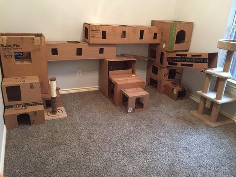 Cat Tower Diy Cardboard, Cat Forts Cardboard Boxes, Box Fort For Cats, Diy Cat Cardboard, Cat Home Diy, Homemade Cat House, Cat Play House Diy, Cat Cardboard House, Cat House Diy Cardboard