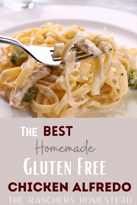 The Best Homemade Gluten Free Chicken Alfredo - The Ranchers Homestead Gluten Free Chicken Alfredo Recipe, Gluten Free Chicken Pasta Recipes, Gluten Free Fettuccine Alfredo, Fettucini Alfredo Sauce, Gluten Free Chicken Alfredo, Gluten Free Alfredo, Chicken Penne Alfredo, Gluten Free Alfredo Sauce, Farfalle Recipes