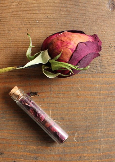 Saving Flowers, Bottle Necklace Diy, Diy Apothecary, Rose Peddles, Keepsake Necklace, Bottle Pendant, Outdoors Tattoo, Bottle Jewelry, Apothecary Bottles