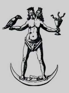 Androgyny, or the state of unified duality, is the culmination of the alchemist's Great Work. The alchemical androgyne is a symbol of... Duality Of Man Tattoo, Androgyny Tattoo, Duality Of Man, Gratitude Activities, Alchemy Art, Masonic Symbols, Alchemy Symbols, Breaking Point, Esoteric Art