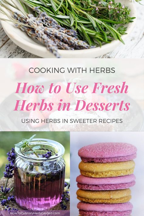 5 of our favorite herbs to use in desserts: Rosemary, Thyme, Lavender, Lemon Verbena, and Scented Geranium. Plus tips to bring out the flavor in your sweetest recipes. Baking With Herbs, Desserts With Herbs, Herb Desserts, Herbal Baking, Lemon Verbena Recipes, Cooking With Herbs, Fresh Herb Recipes, Cooking With Fresh Herbs, Thyme Flower