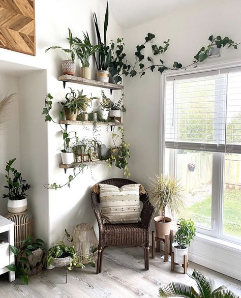 Too Many Plants, Plant Corner, Plant Home, Agreeable Gray, Plant Shelf, Room With Plants, Plant Shelves, Balcony Garden, Plant Decor