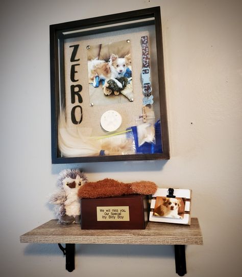 Memorial shadow box and shelf I made for my late dog Zero. Memorial Display Ideas For Home Dog, Memorial Shelf Display Living Rooms, Dog Memorial Shelf, Memorial Shelf Display For Urn, Dog Shrine Ideas, Pet Memorial Shelf, Cat Memorial Shadow Box Ideas, Pet Loss Memorial Ideas, Memorial Shrine Ideas