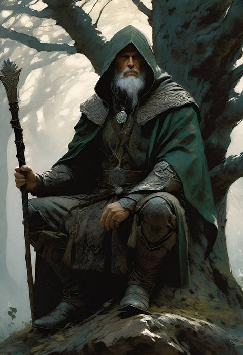 Green Wizard Art, Old Druid Male, Divine Soul Sorcerer Male, Dnd Druid Male, Old Wizard Character Design, Male Druid Character Art, Old Wizard Art, Dnd Wizard Art, Fantasy Wizard Art