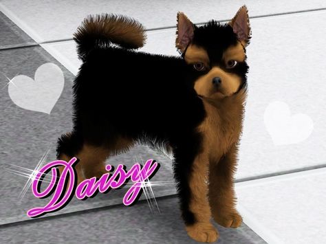 Blondii16@TSR - Miniature York: Daisy #Sims3 Sims 4 Urban Pet Cc, Sims 4 Dog Breeds, Sims 4 Dog Skin Cc, Sims 4 Pets Download, Pet Clothes Sims 4 Cc, Sims 4 Pet Skin Cc, Sims 4 Pet Accessories, Sims 4 Pet Overlay, Sims 4 Dog Mods