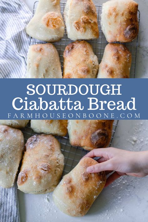 Irresistibly chewy, this sourdough ciabatta bread recipe has a deliciously addicting open crumb texture on the inside with a gently crisped outside. Dip in oil as an appetizer, or use this bread for your next sandwich lunch. Ciabatta Rolls Recipe, Sourdough Ciabatta, Ciabatta Bread Recipe, Ciabatta Rolls, Easy Sourdough Bread Recipe, Recipe Using Sourdough Starter, Sourdough Bread Starter, Dough Starter, Sourdough Starter Discard Recipe