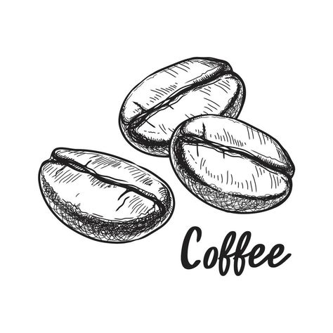 Coffee Beans Drawing, Coffee Bean Drawing, Bean Drawing, Coffee Art Drawing, Coffee Bean Art, Coffee Drawing, Easy Coffee, Drawing Clipart, Free Coffee