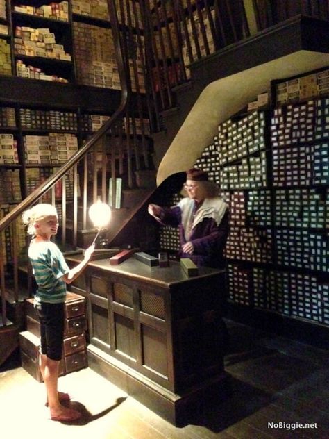 Wand Shop Universal Orlando Family Forward | NoBiggie.net Olivanders Wand Shop, Manifest 2024, Wand Shop, Orlando Family, Chamber Of Secrets, Universal Studios Orlando, Diagon Alley, Universal Orlando, Harry Potter Fan