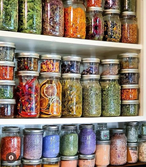 Garden Pantry, Store Fruit, Herbal Tea Garden, Spice Garden, Herb Jar, Spice Shelf, Garden Herbs, Farm Lifestyle, Herbal Apothecary