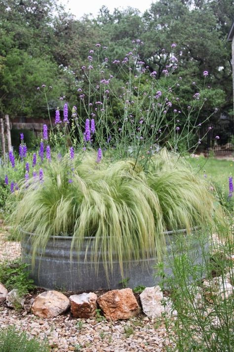 Learn all the ways you can hack large galvanized stock tanks and troughs to create something spectacular and useful for your home. Stock Tank Gardening, Farmhouse Landscaping, Stock Tank, Rock Garden Landscaping, Have Inspiration, Cozy Farmhouse, Landscaping With Rocks, Ornamental Grasses, Yard Ideas