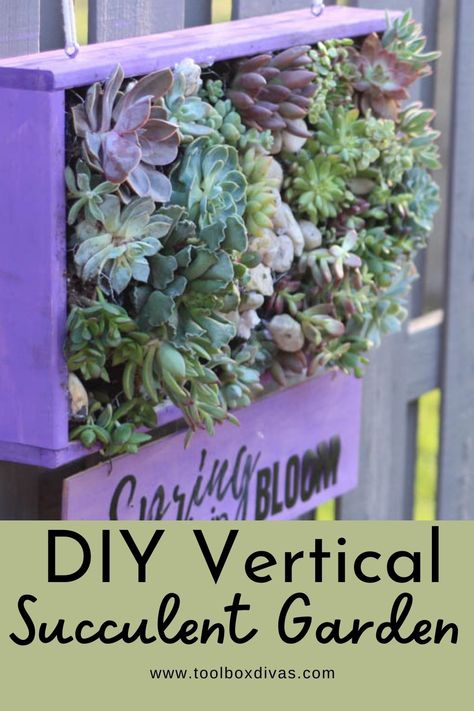 Outdoor Challenge, Succulent Wall Planter, Garden Vertical, Vertical Succulent Gardens, Succulent Garden Indoor, Vertical Planter, Pallet Planter, Succulent Wall, Outdoor Diy Projects