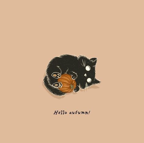 Autumn Cat Illustration, Black Cat Playing, Here's To New Beginnings, Cats And Pumpkins, Time Artwork, Black Cat Aesthetic, Fall Drawings, Cooking Pumpkin, To New Beginnings