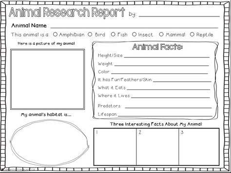 Free animal project poster printable<---could be a fun summer project! 1st Grade Animal Research Project, 1st Grade Research Project, 3rd Grade Animal Research Project, Animal Research Graphic Organizer, Zoo Animal Unit Study, Animal Research Projects For Kids Free, Animal Research, Animal Research Project, Animal Report Template