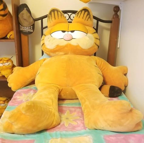 Garfield Couch, Garfield Room, Garfield Items, Garfield Stuff, Garfield Plush, Fat Orange Cat, Garfield Pictures, Garfield Images, Garfield Cat