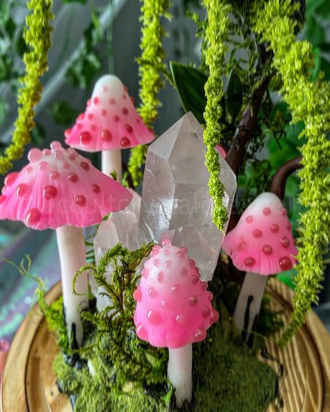 Pink quarts crystal Mushroom lamp by occultcrystal creations Mushrooms Sculpture, Mushrooms From Clay, Pink Mushroom Fairy, Rainbow Mushroom, Pink Mushroom Aesthetic, Colourful Mushrooms, Pink Mushrooms, Crystal Mushroom, Colorful Mushrooms