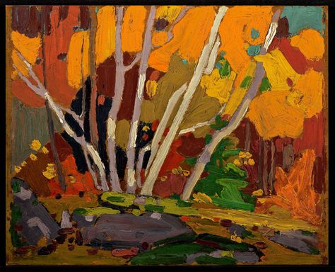 Tom Thomson Catalogue Raisonné | Autumn Birches, Fall 1916 (1916.157) | Catalogue entry Outdoorsmen Gifts, Canadian Painting, Group Of Seven Artists, Franklin Carmichael, Tom Thomson Paintings, Tom Thomson, Emily Carr, Canadian Painters, Group Of Seven