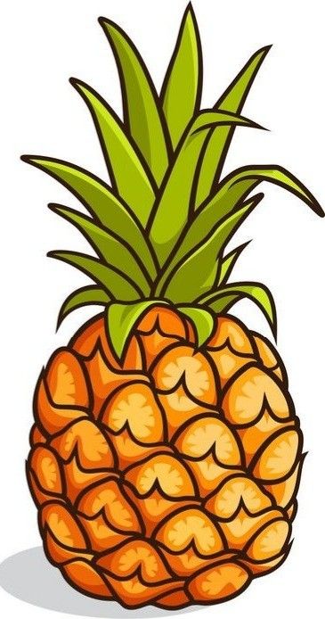 Pineapple Drawing, Pineapple Illustration, Jungle Decorations, Pineapple Wallpaper, Fruit Coloring Pages, Shark Birthday Party, Marketing Poster, Art Tools Drawing, Colorful Nail Designs