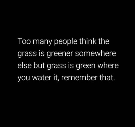 Too many people think the grass is greener somewhere else but grass is green where you water it, remember that. The Grass Is Greener, Best Success Quotes, Grass Is Greener, Life Coach Certification, Green Quotes, Quotes Success, Entrepreneur Motivation, Meaningful Words, The Grass