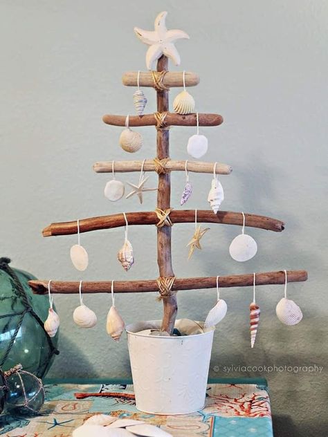 See Shells Craft, Driftwood Trees Christmas, See Shells Ideas, Driftwood Trees Diy, Christmas Crafts With Shells, Diy Coastal Christmas Ornaments, Sea Shell Christmas Ornaments Diy, Shell Ornaments Diy, Coastal Christmas Decorations