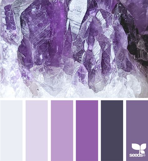 Amethyst Color Palette, Inspiration Color Palettes, Seeds Color, Purple Color Palettes, Coloring Journal, Color Schemes Colour Palettes, Hue Color, Design Seeds, Color Palette Design