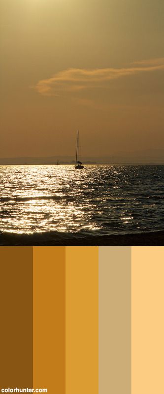 Golden+Hour+Color+Scheme Golden Hour Color Palette, Color Palets, Sunset Color Palette, Inktober 2023, Brand Colours, Angry Women, Sunset Color, Golden Days, Premium Colors