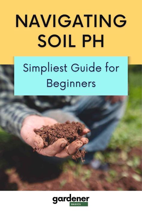 Understanding Soil pH: A Beginner's Guide — Gardening, Herbs, Plants, and Product Reviews Perennial Garden Plans, Gardening Herbs, Herbs Plants, Vegetable Garden For Beginners, Starting A Vegetable Garden, Plant Nutrients, Soil Testing, Covered Garden, Soil Ph