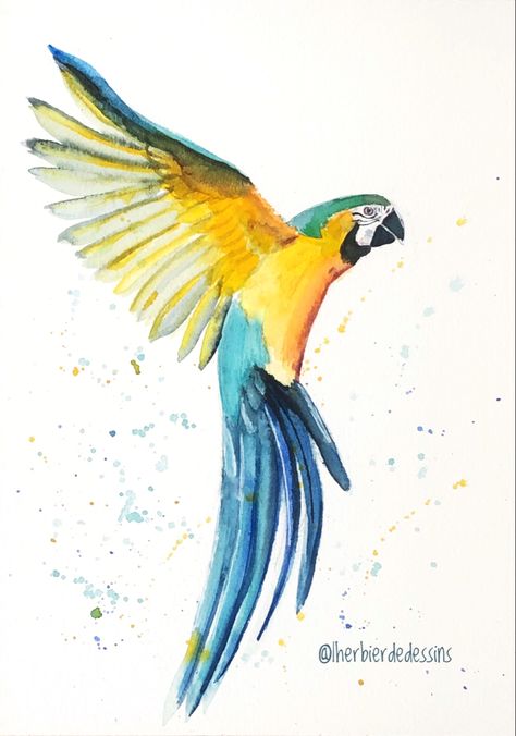 @lherbierdedessins Parotts Bird Drawing, Embroidered Photo Art, Parrot Drawing, Water Artwork, Parrot Painting, Parrots Art, Hummingbird Art, Watercolor Pictures, Watercolor Canvas