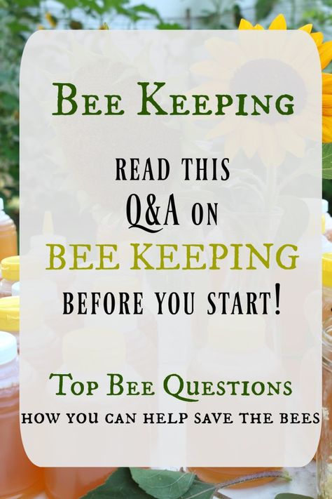 Honey Backyard, Honey Bees Keeping, Harvesting Honey, Keeping Bees, Top Questions, Bee Hive Plans, Backyard Bee, Beekeeping For Beginners, Nesting With Grace