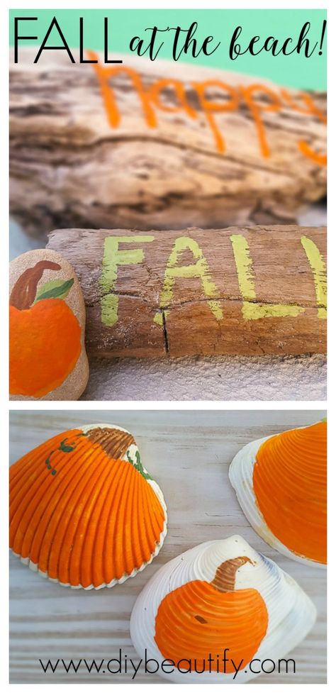 When you find yourself living at the beach during the fall, find a way to… Fall Driftwood Decor, Fall Beach Camping, Seashell Fall Crafts, Fall Beach Theme Decor, Thanksgiving Shell Crafts, Fall Seashell Crafts, Fall Beach Birthday, Halloween Shell Crafts, Beachy Halloween Decor