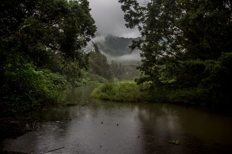 Hawaii Travel Guide, Tally Marks, Nature Places, On A Rainy Day, Oahu Hawaii, A Rainy Day, Hawaii Travel, Landscape Nature, Travel Lifestyle