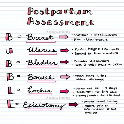 Postpartum Assessment, Fundal Height, Memes Nursing, Nursing Pictures, Nursing Study Tips, Nclex Study Guide, Nursing School Essential, Nursing Study Guide, Nursing School Motivation