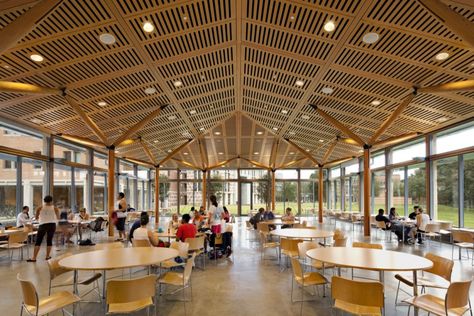 Duncan and McMurtry Colleges / Hopkins Architects with Hanbury Evans Wright Vlattas   Company Dining Hall Ideas, Campus Cafeteria, Prefab Bathroom, University Cafeteria, Best College Dorms, Hopkins Architects, Ceiling Architecture, Community Planning, Cal Poly Pomona