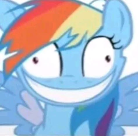 Mlp Funny Pfp, Mlp Reaction Images, Funny Mlp Pics, Mlp Pfp Rainbow Dash, Mlp Reaction Pics, Rainbowdash Icon, Funny My Little Pony, Rainbow Dash Cute, My Little Pony Funny